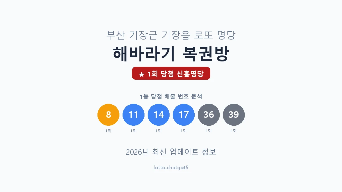 부산 기장군 기장읍 로또 명당 해바라기 복권방 1등 1회 배출 판매점 썸네일