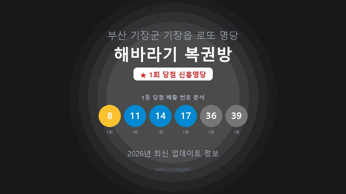 부산 기장군 기장읍 로또 명당 해바라기 복권방 1등 1회 배출 판매점 썸네일