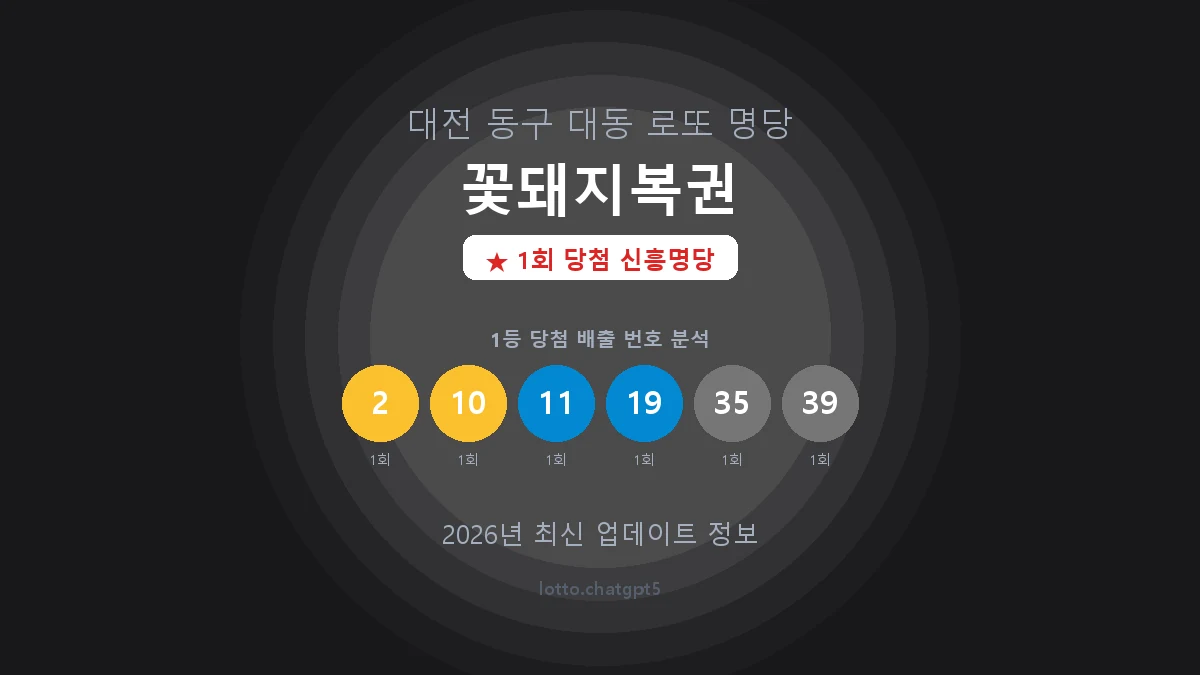 대전 동구 대동 로또 명당 꽃돼지복권 1등 1회 배출 판매점 썸네일