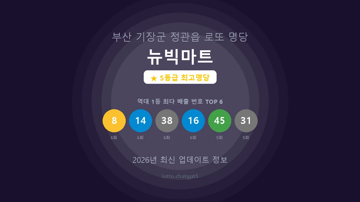 로또 성지 순례 : 부산 기장군 뉴빅마트 1등 27회 배출의 모든 것