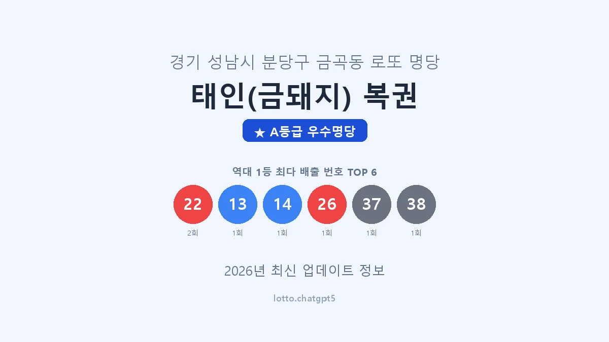 경기 성남시 금곡동 로또 명당 태인(금돼지) 복권 1등 3회 배출 판매점 썸네일