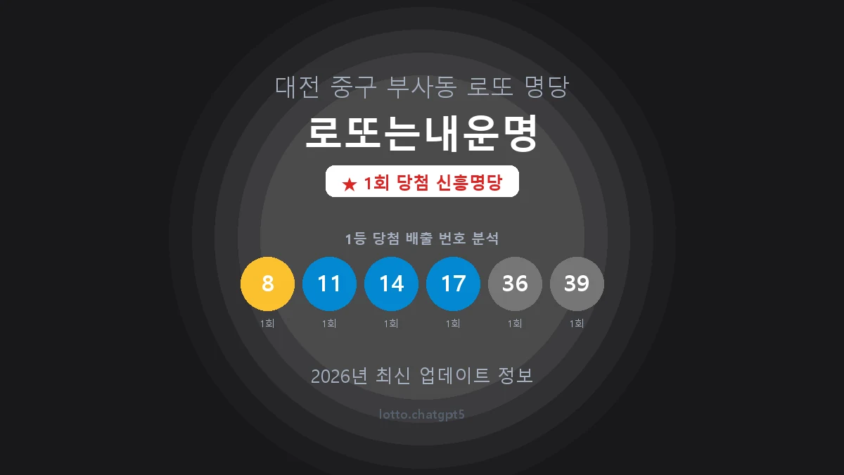 대전 중구 부사동 로또 명당 로또는내운명 1등 1회 배출 판매점 썸네일