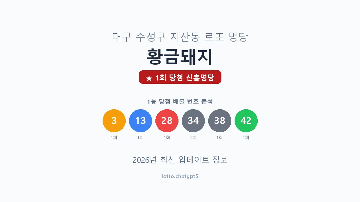 대구 수성구 지산동 로또 명당 황금돼지 1등 1회 배출 판매점 썸네일