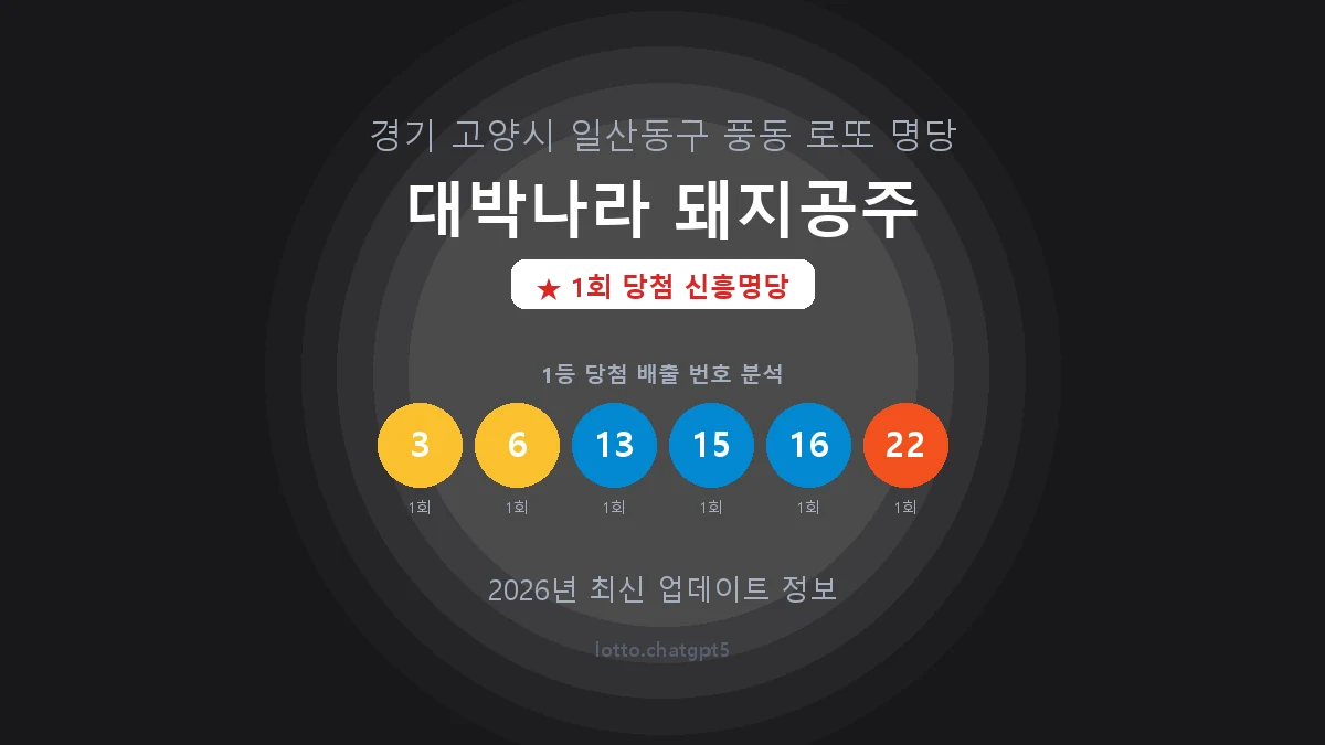 경기 고양시 풍동 로또 명당 대박나라 돼지공주 1등 1회 배출 판매점 썸네일