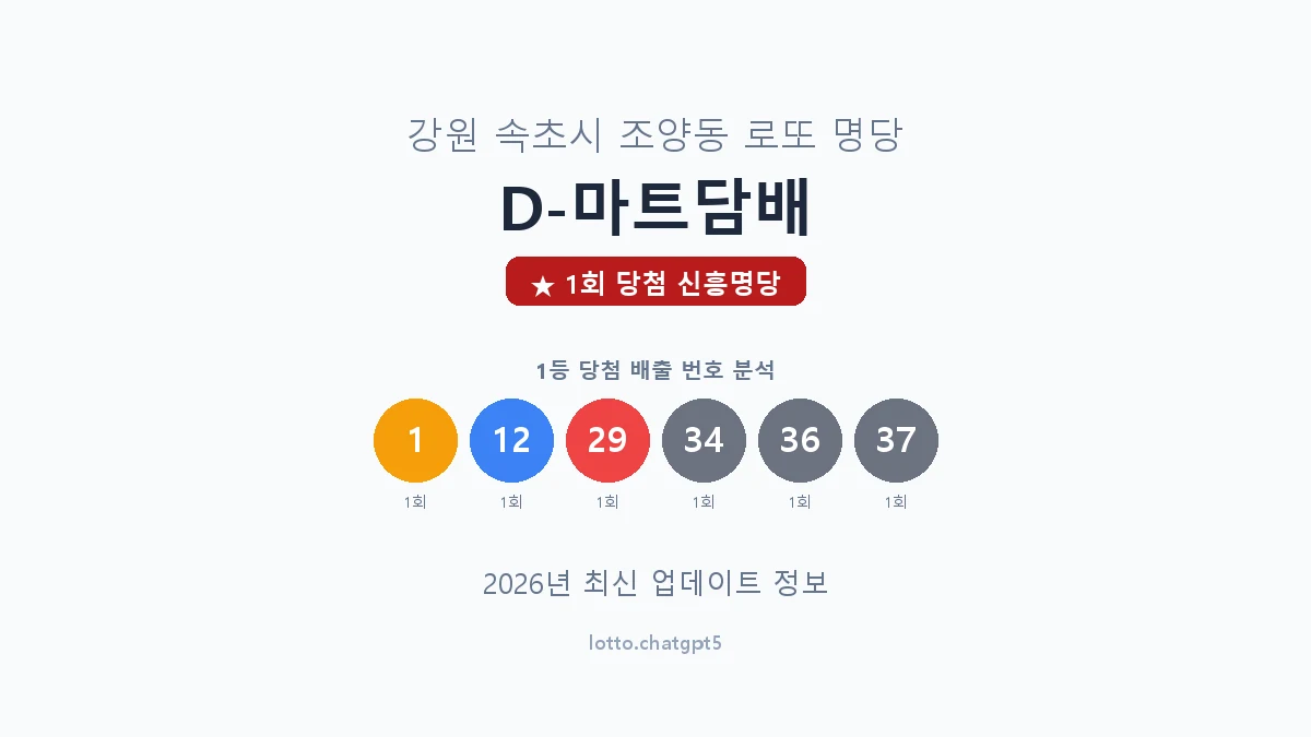 강원 속초시 조양동 로또 명당 D-마트담배 1등 1회 배출 판매점 썸네일