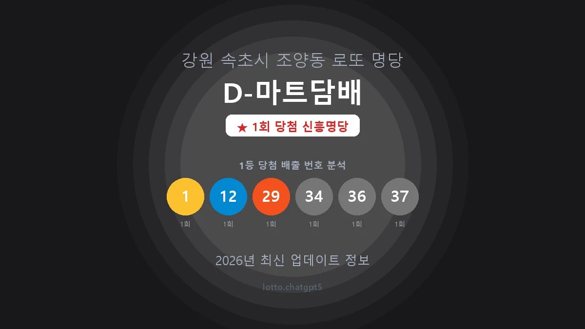 강원 속초시 조양동 로또 명당 D-마트담배 1등 1회 배출 판매점 썸네일
