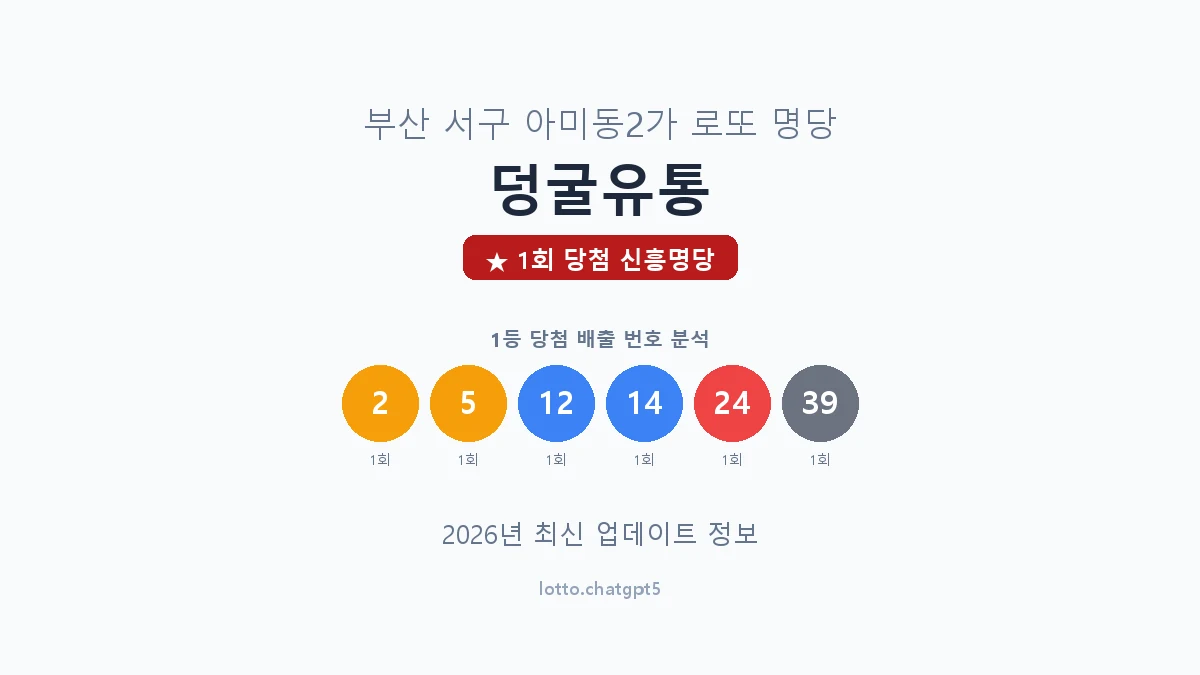 부산 서구 아미동2가 로또 명당 덩굴유통 1등 1회 배출 판매점 썸네일