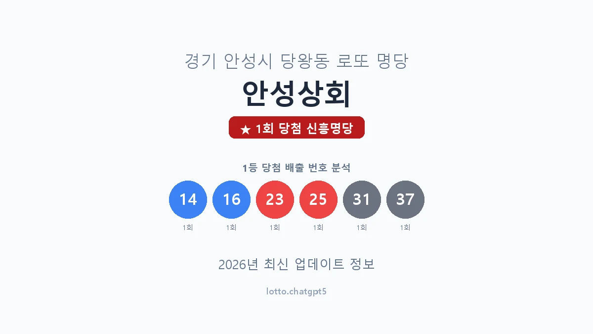 경기 안성시 당왕동 로또 명당 안성상회 1등 1회 배출 판매점 썸네일