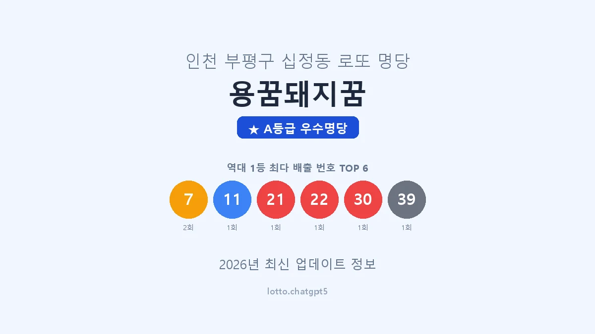 인천 부평구 십정동 로또 명당 용꿈돼지꿈 1등 3회 배출 판매점 썸네일